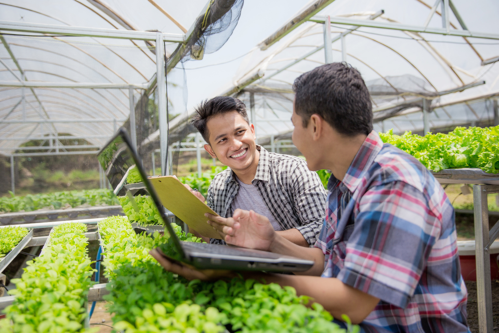 Two smiling farmers talk with each other in a greenhouse, one holding a laptop computer and the other holding a writing board. 
