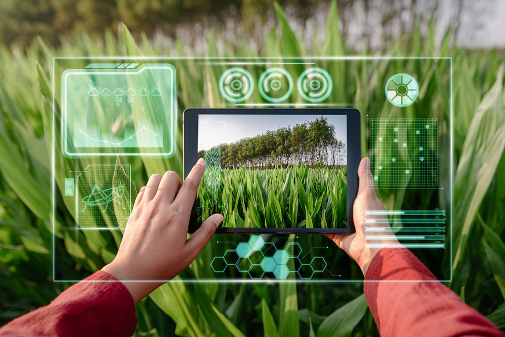 What Happens when ESG, Data, and Technology Converge: A New Path to  Sustainable Business? : FUJITSU BLOG - Global