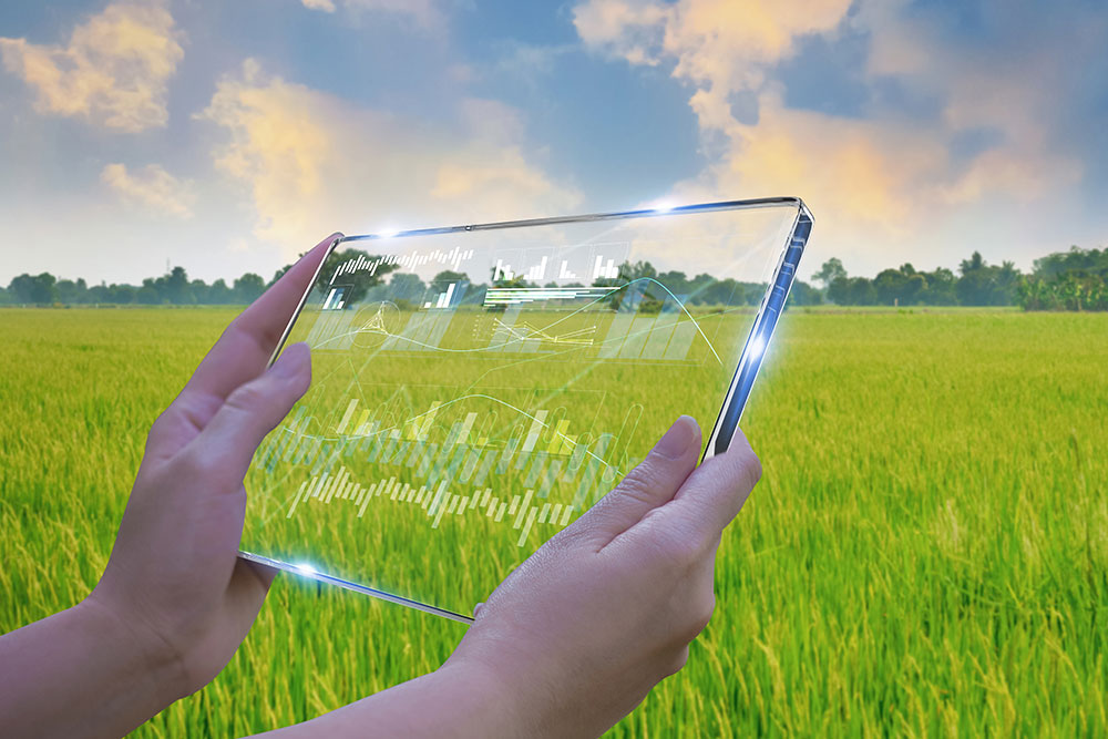 A picture of a glass tablet with a grassland background.